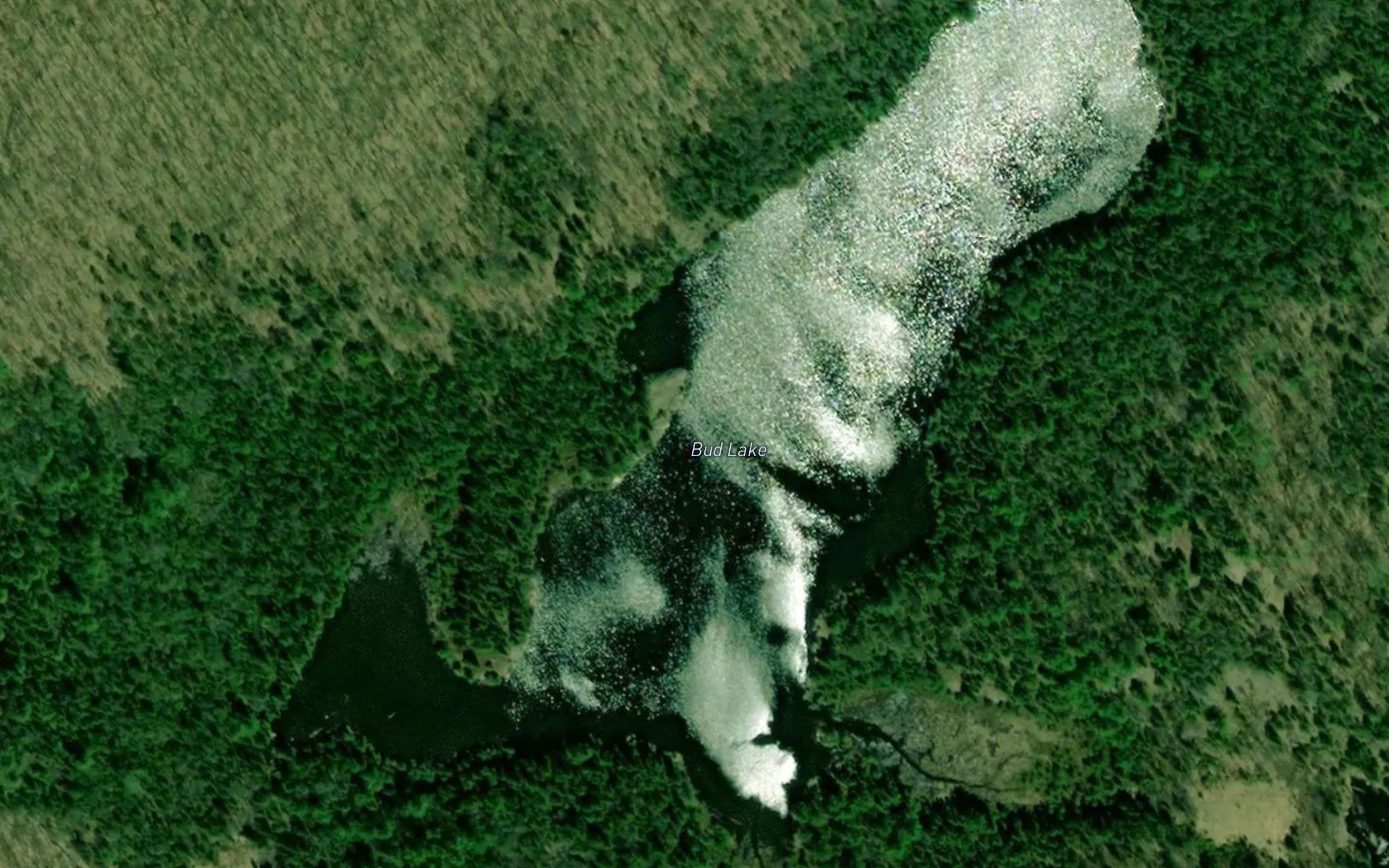 Bud Lake