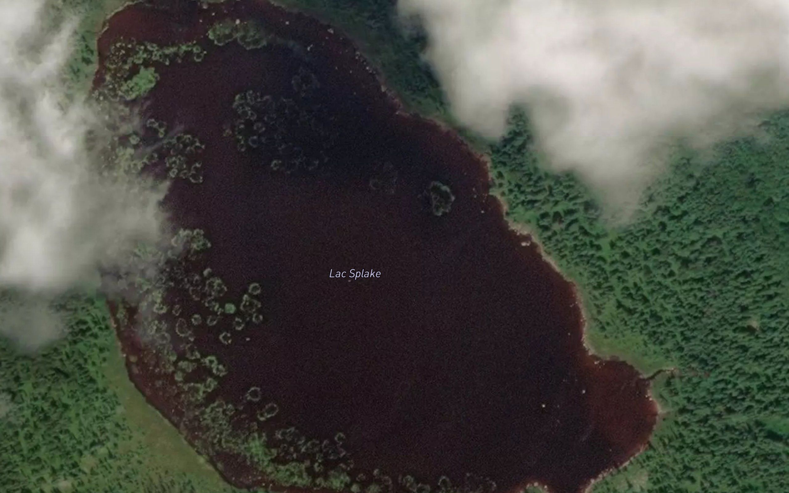 Lac Splake