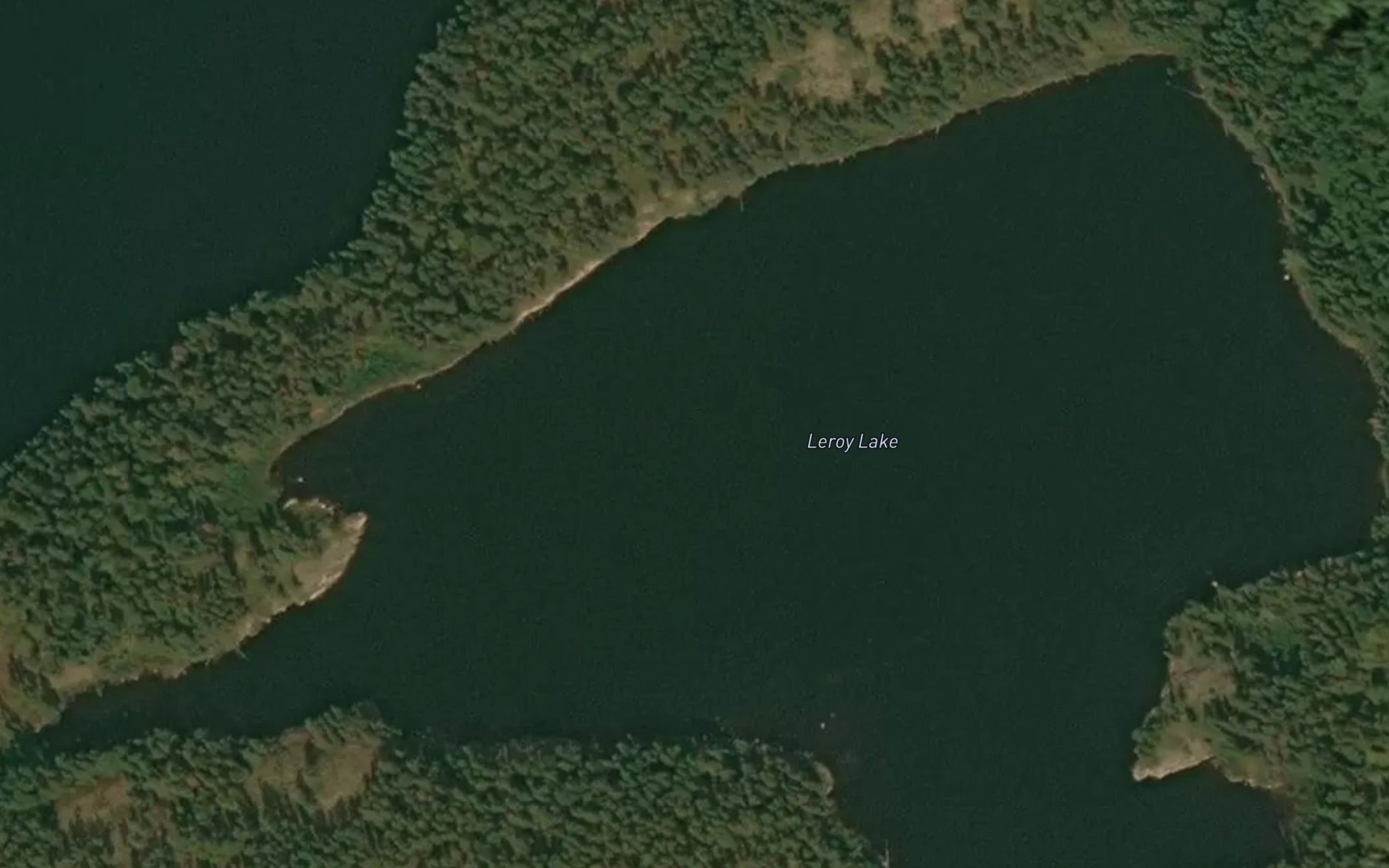 Satellite map of the Leroy Lake