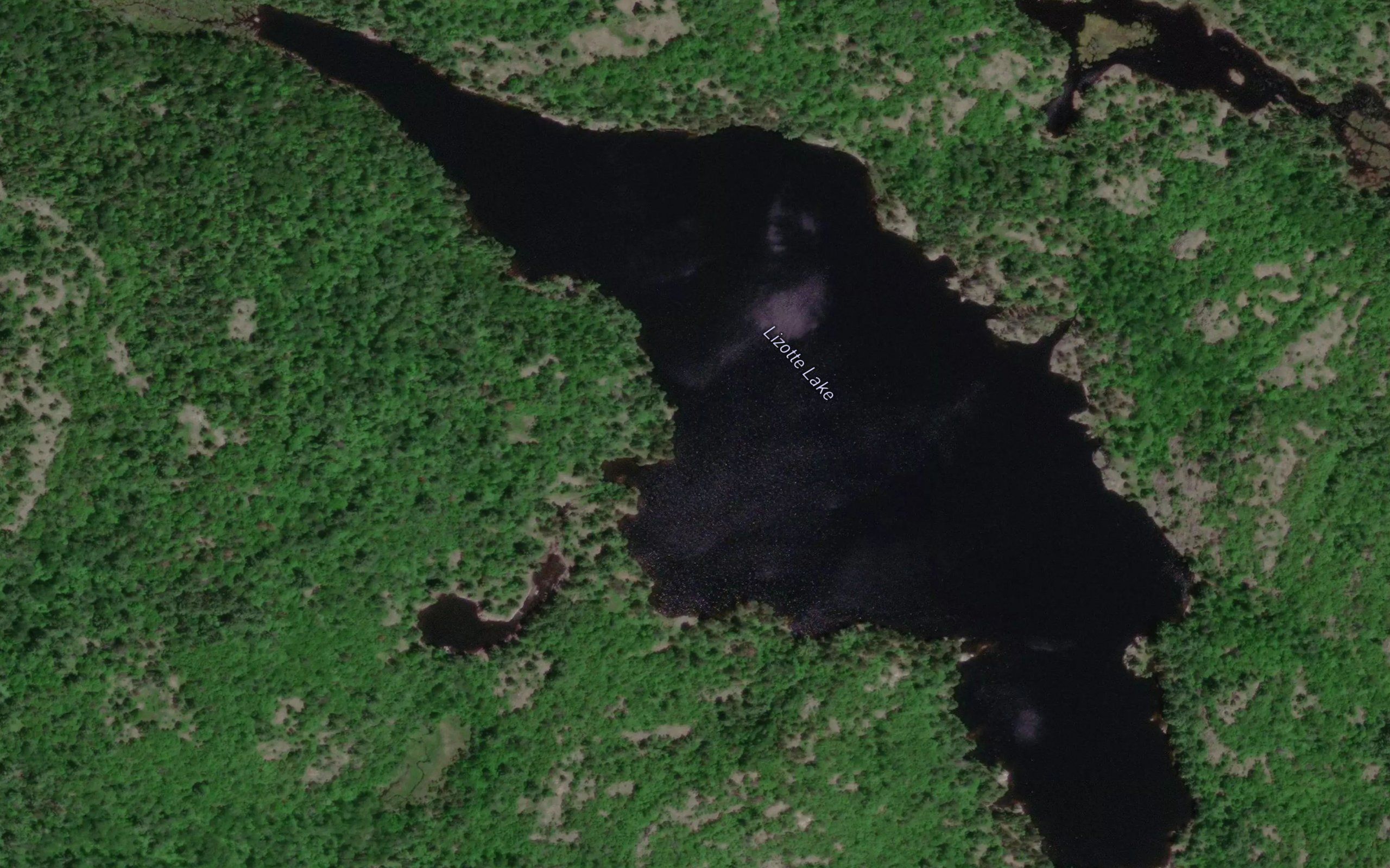 Lizotte Lake