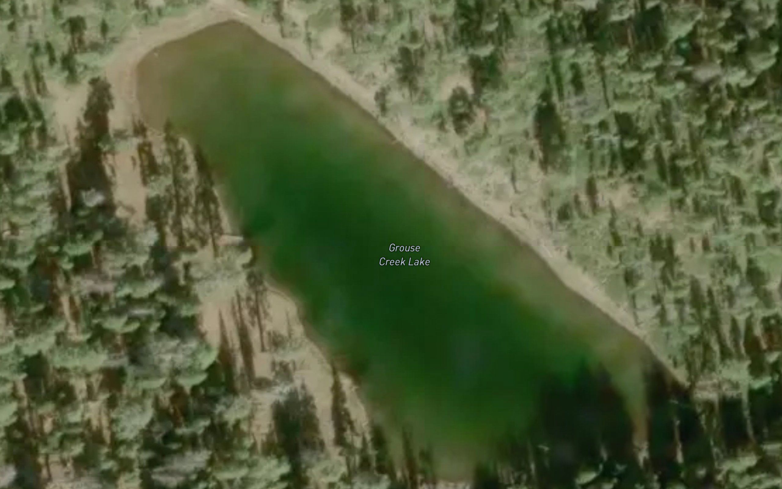 Grouse Creek Lake