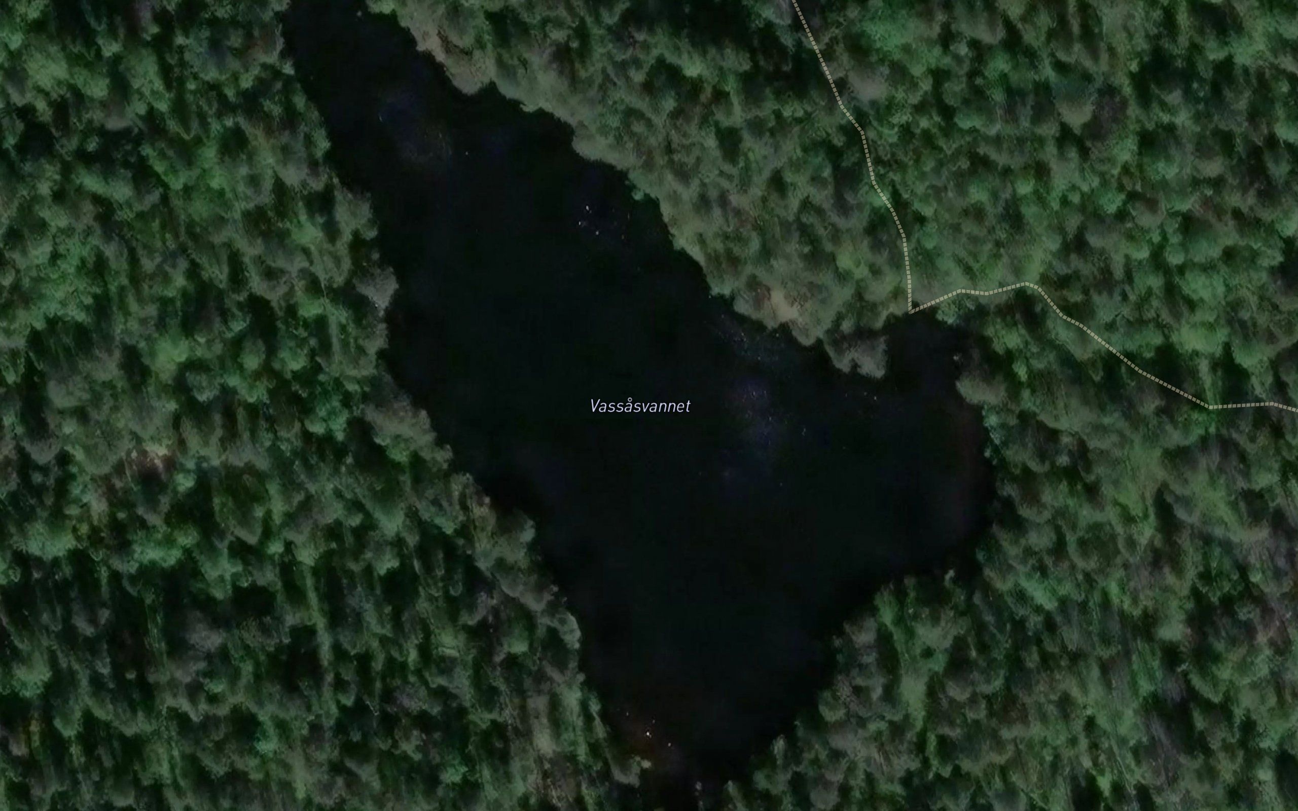 Vassasvannet