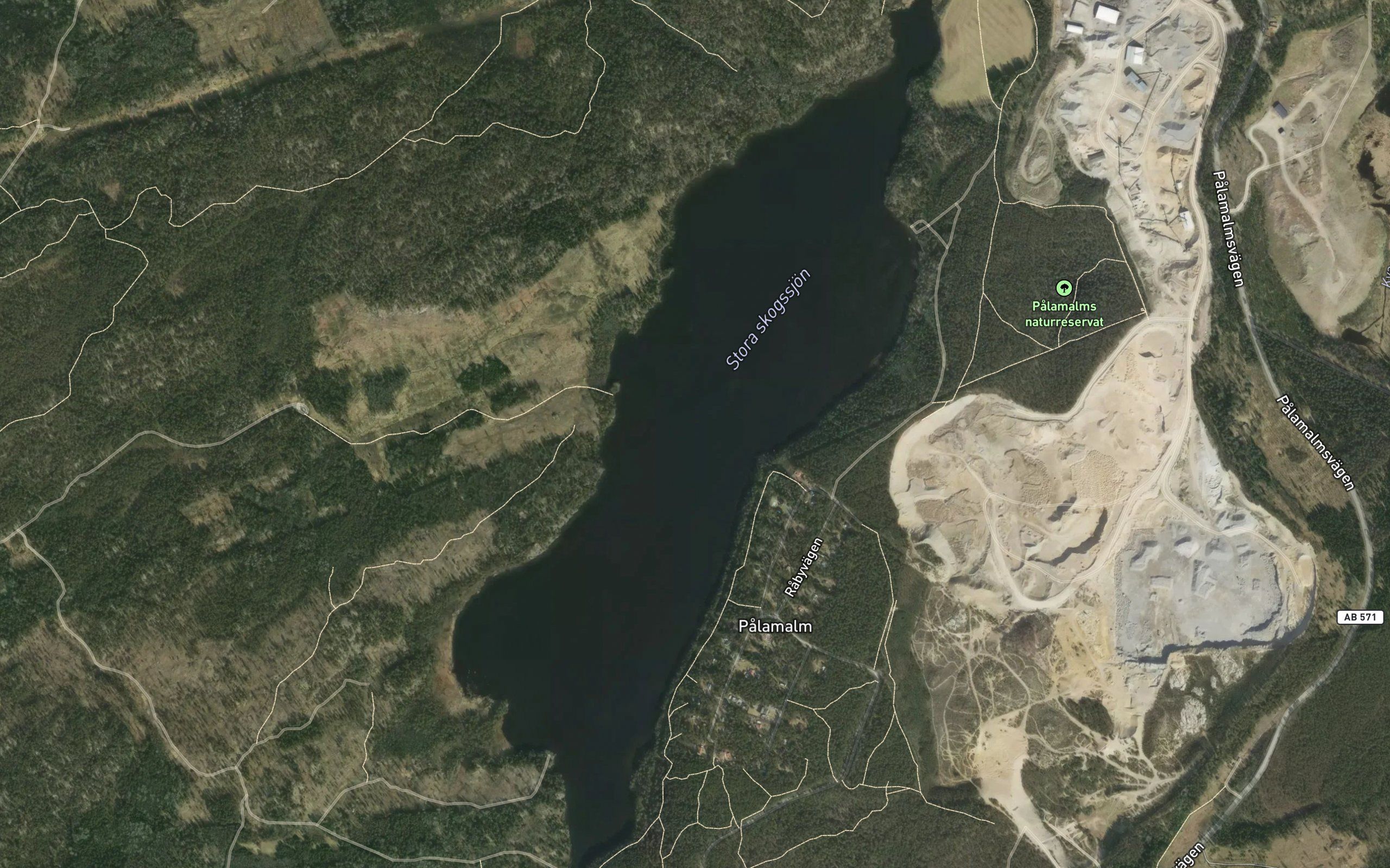 Stora Skogssjon