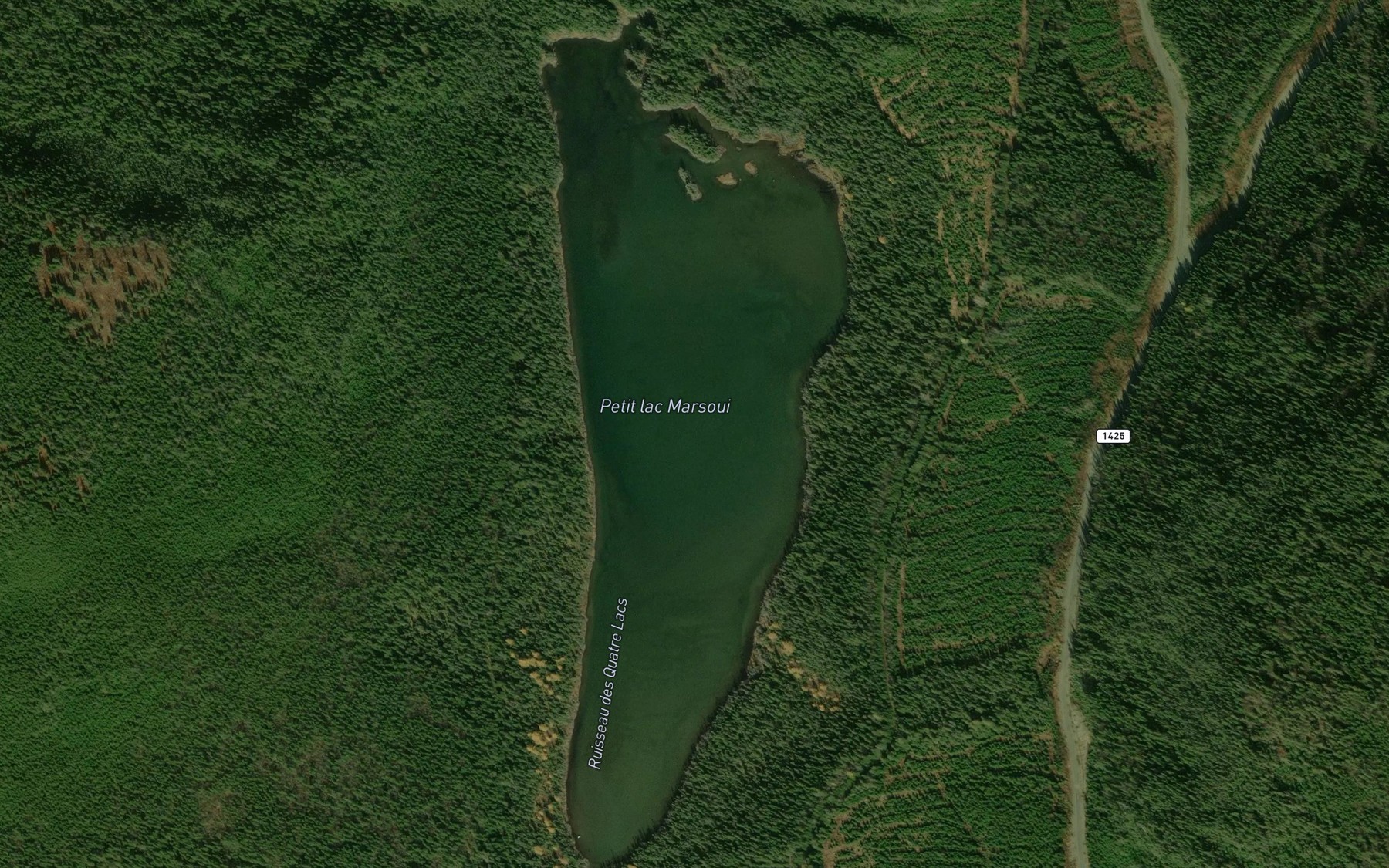 Satellite map of the Petit lac Marsoui