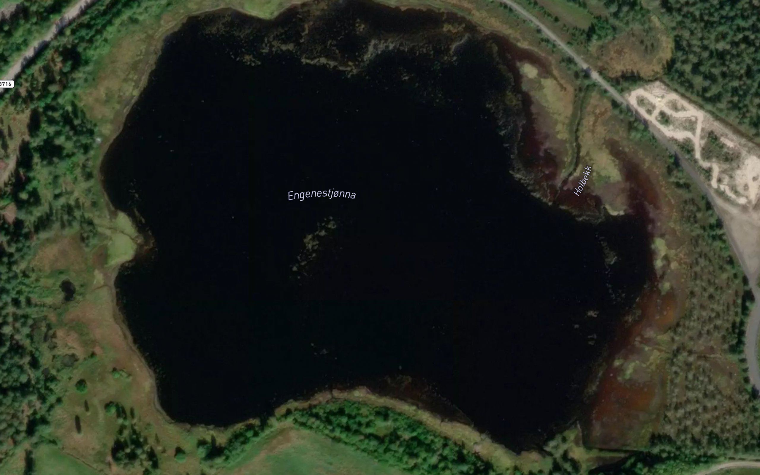 Engenestjorna