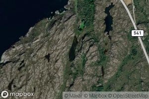 Lenutetjorna