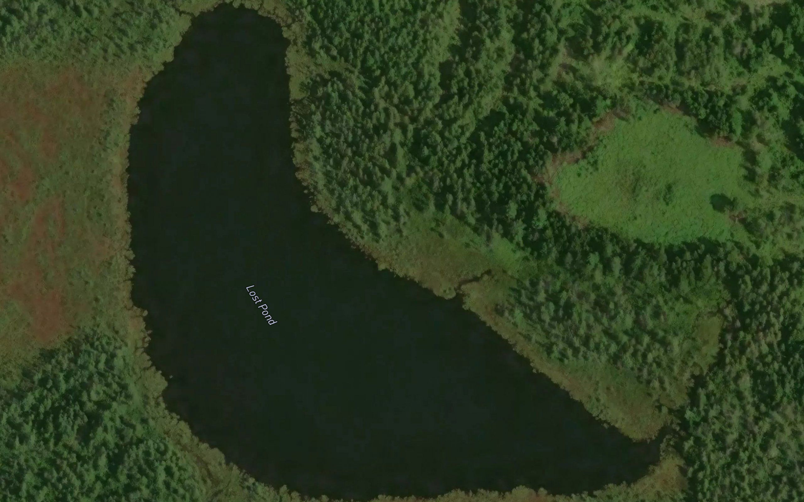 Lost Pond