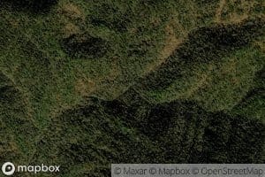 Left Fork Raven Fork