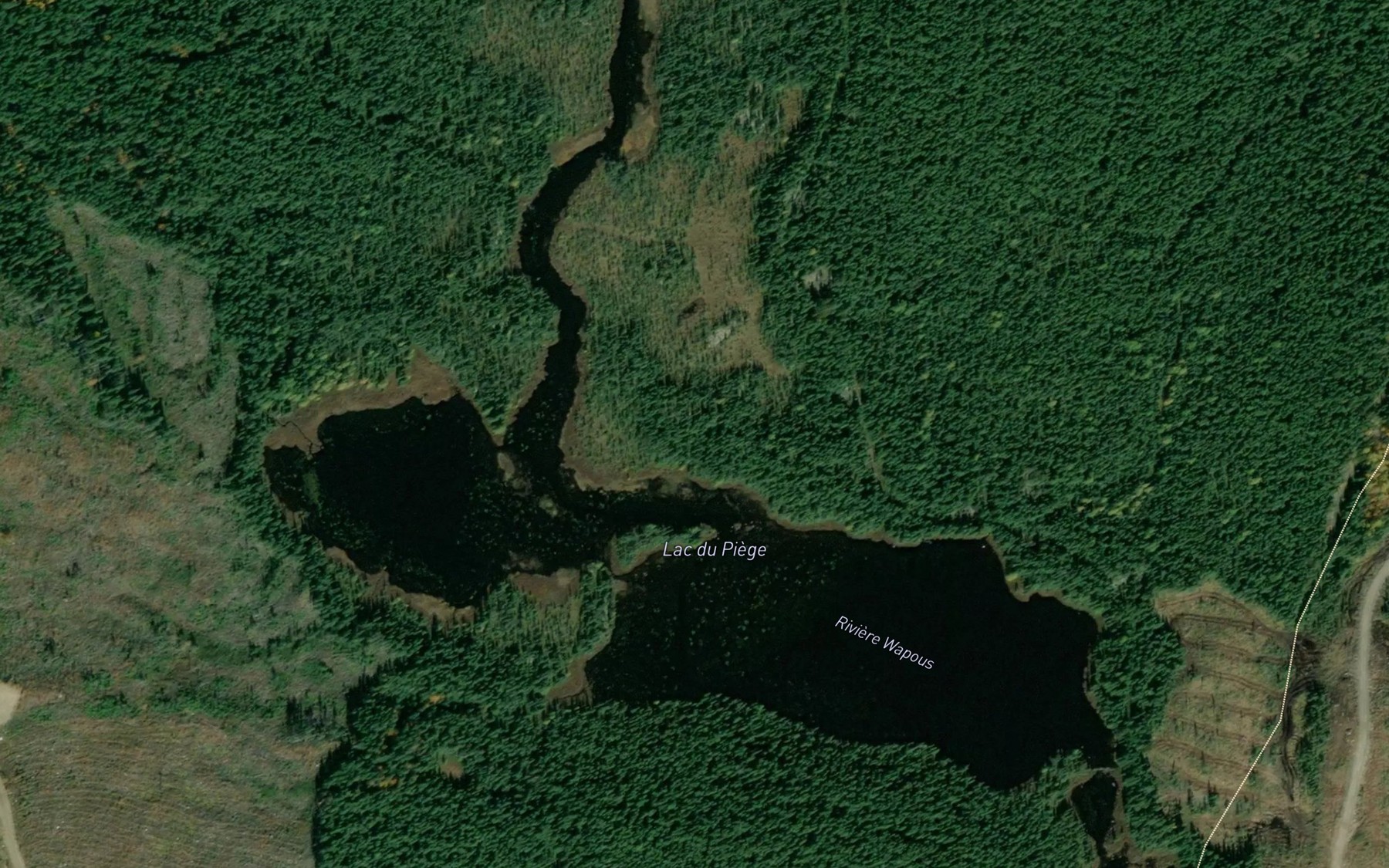 Satellite map of the Lac du Piege