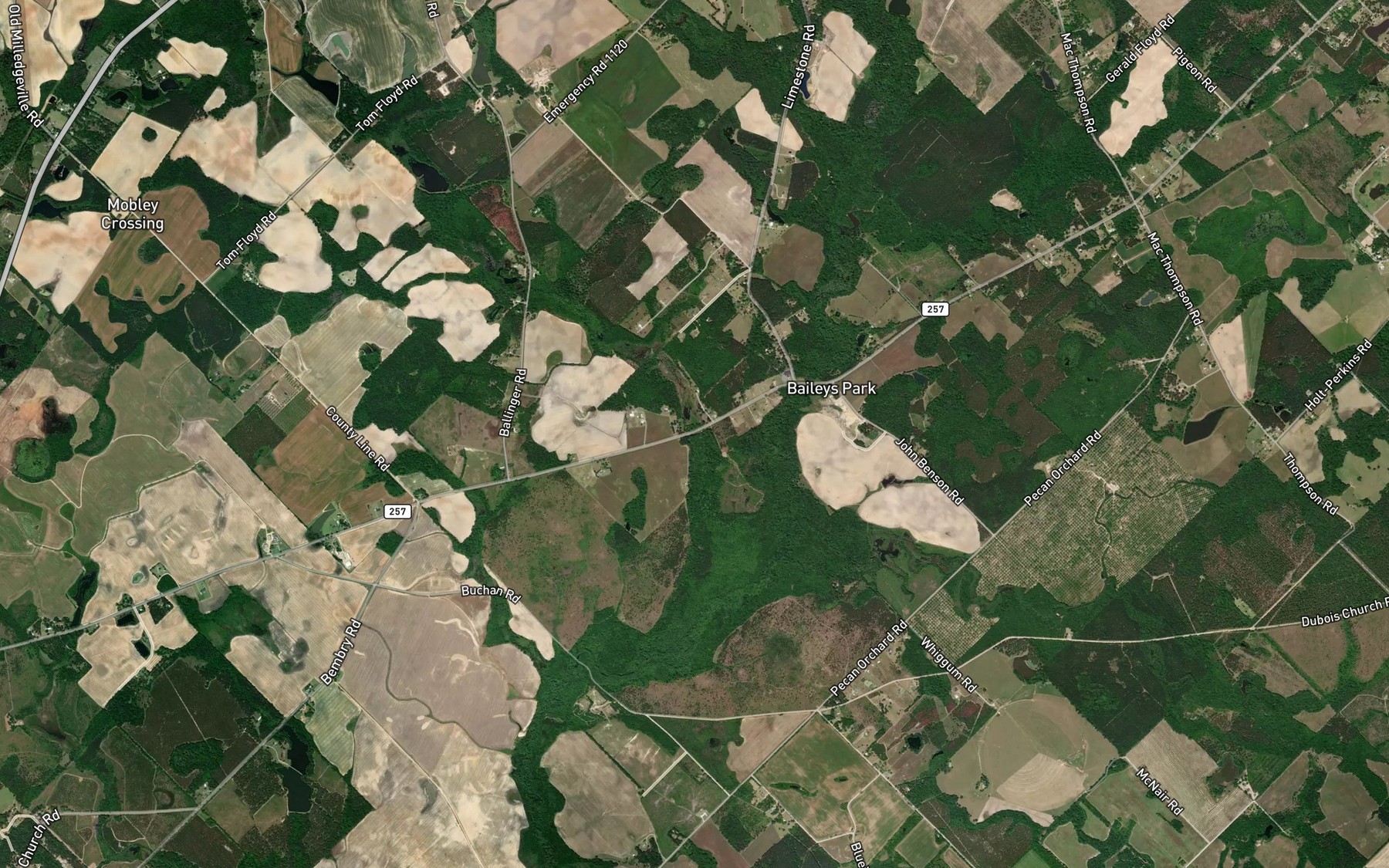 Satellite map of the Livingston Pond