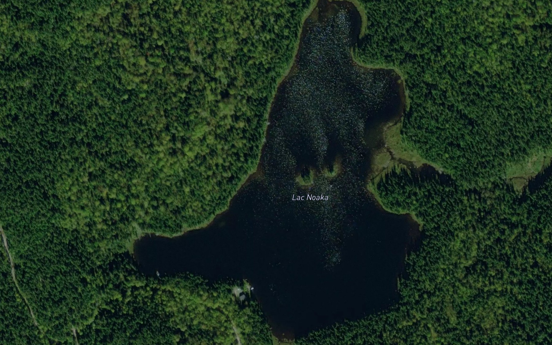Satellite map of the Lac Noaka