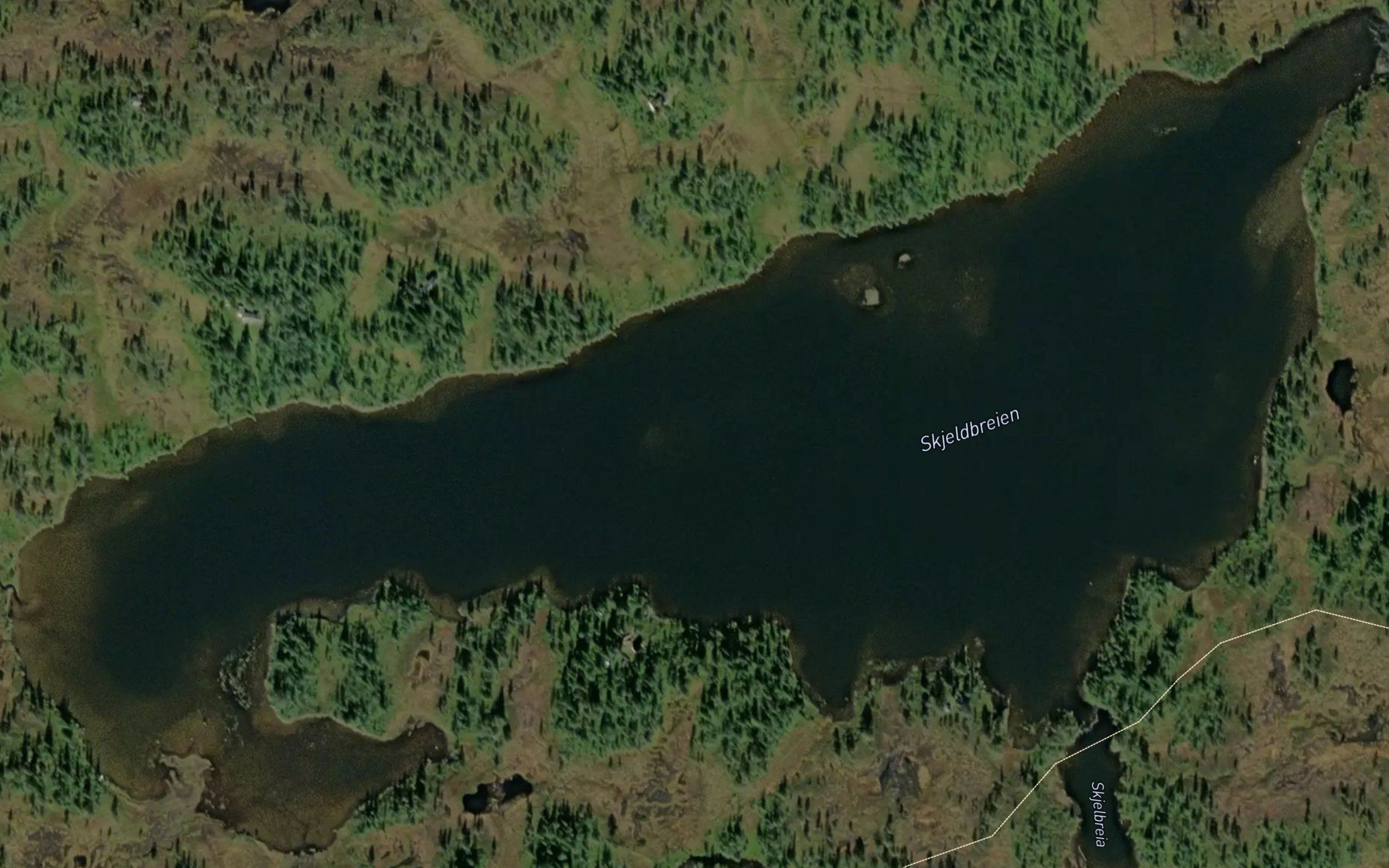 Skjelbreidtjorna