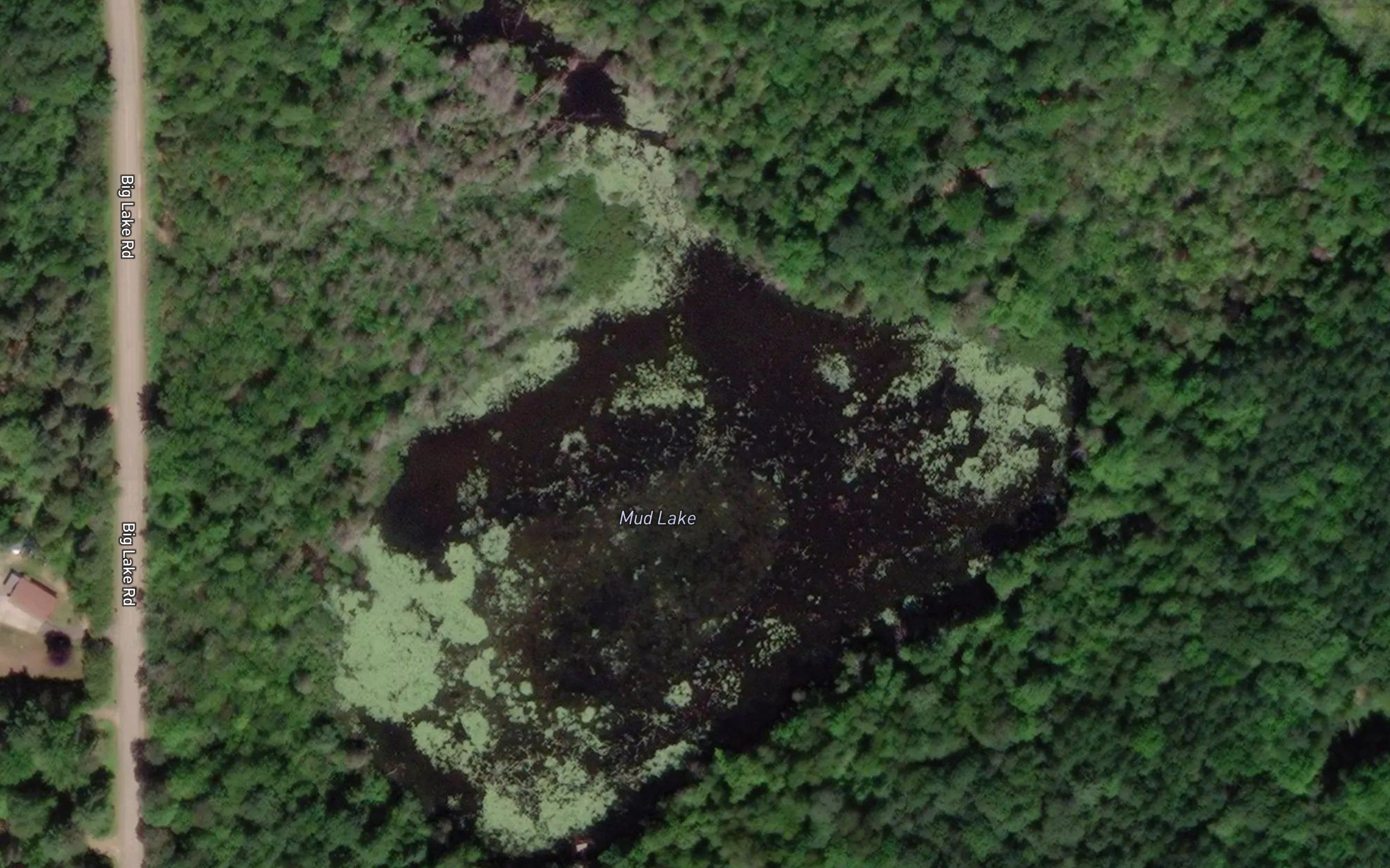 Mud Lake