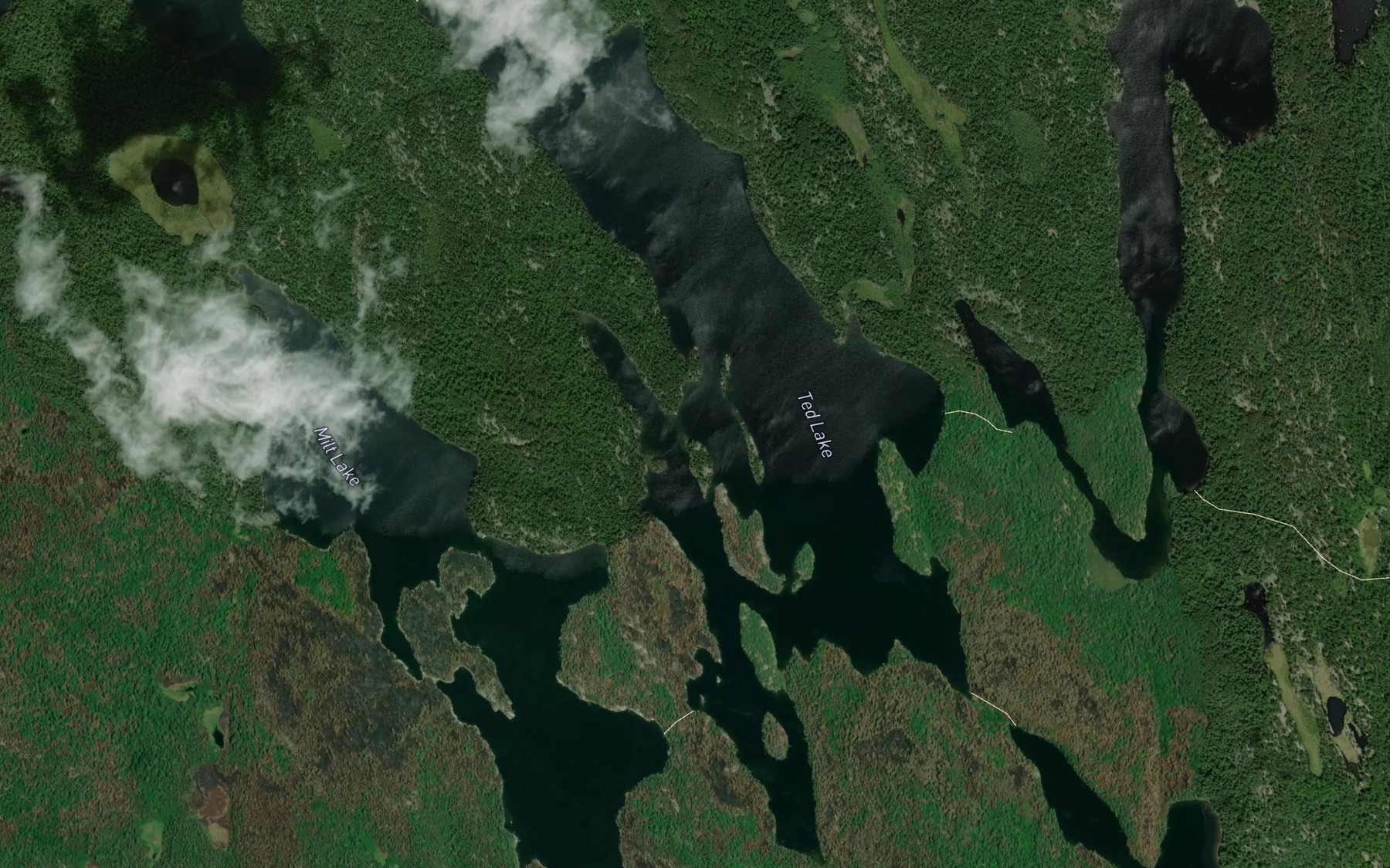 Satellite map of the Ted Lake