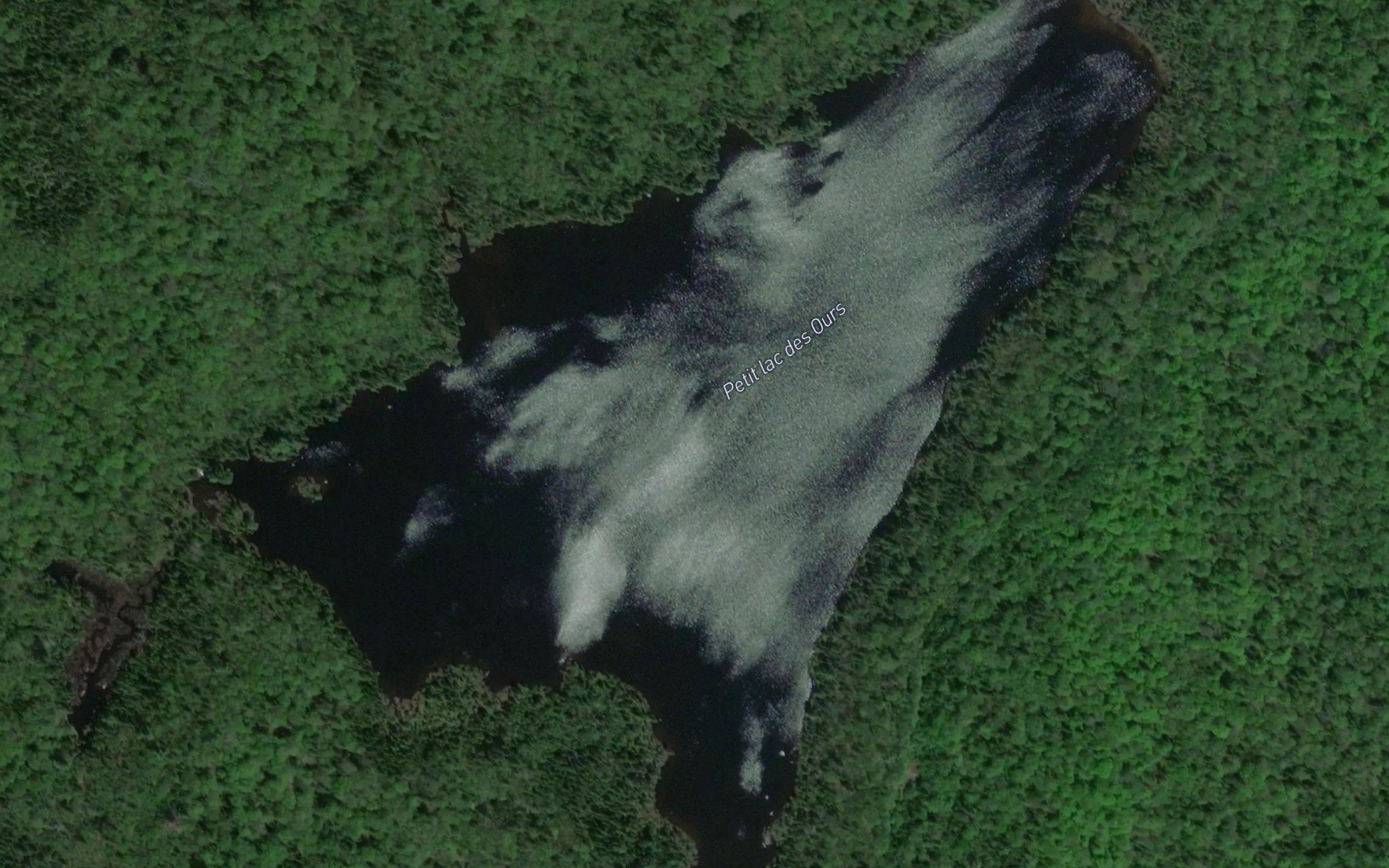Petit lac des Ours