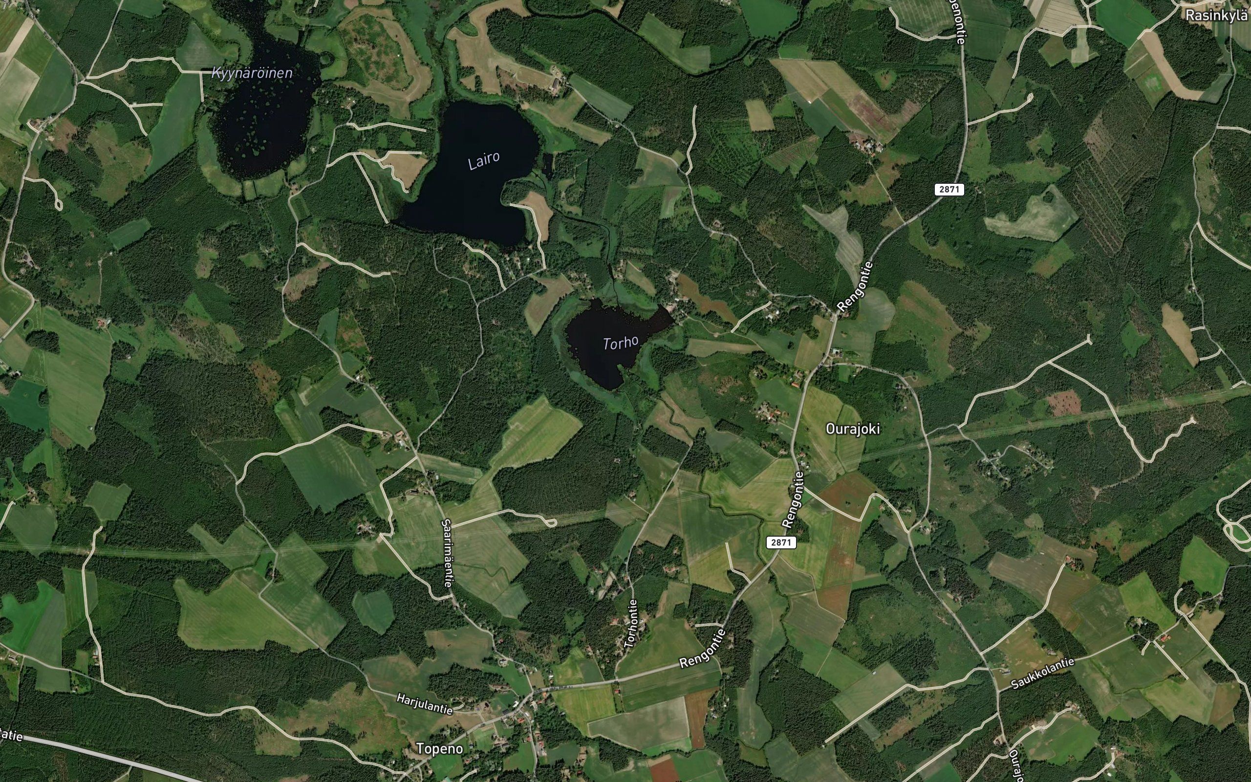 Heinijoki