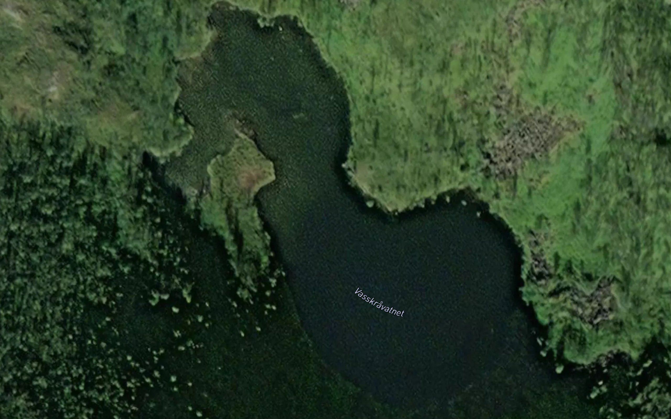 Vasskravatnet
