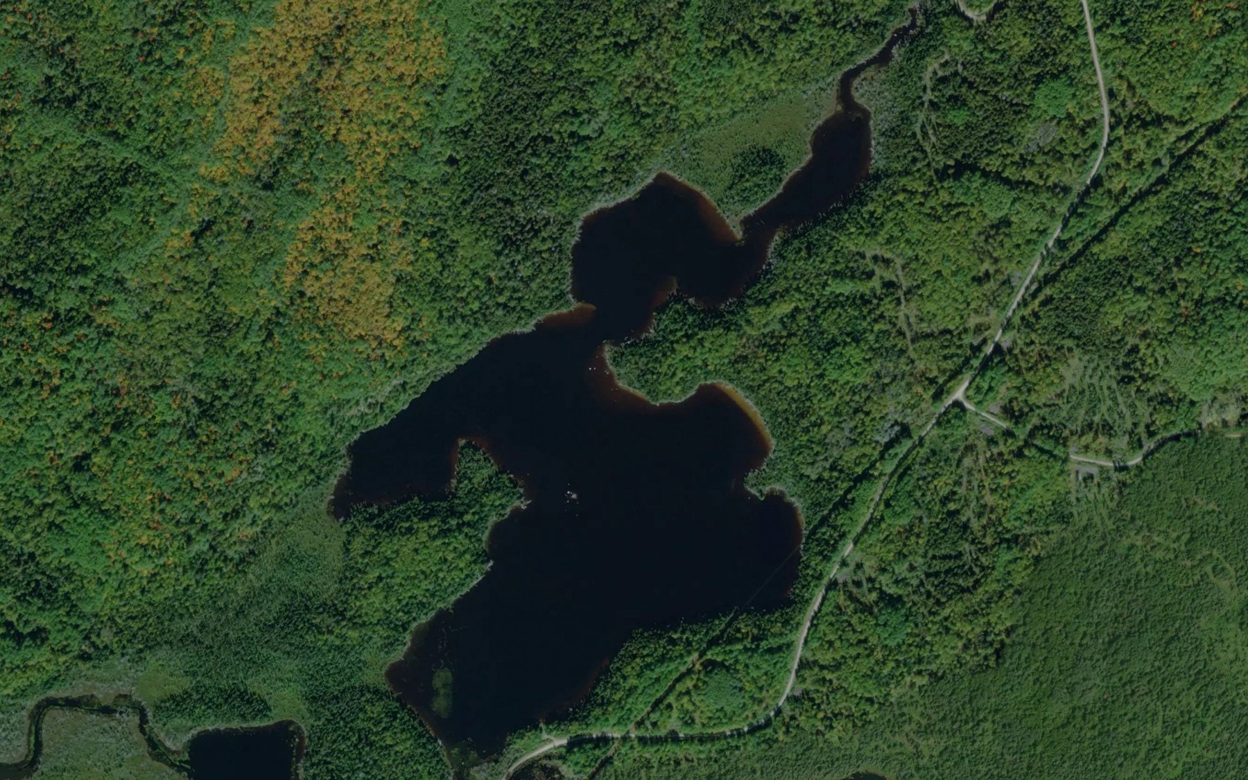 Satellite map of the Sheppard Lake