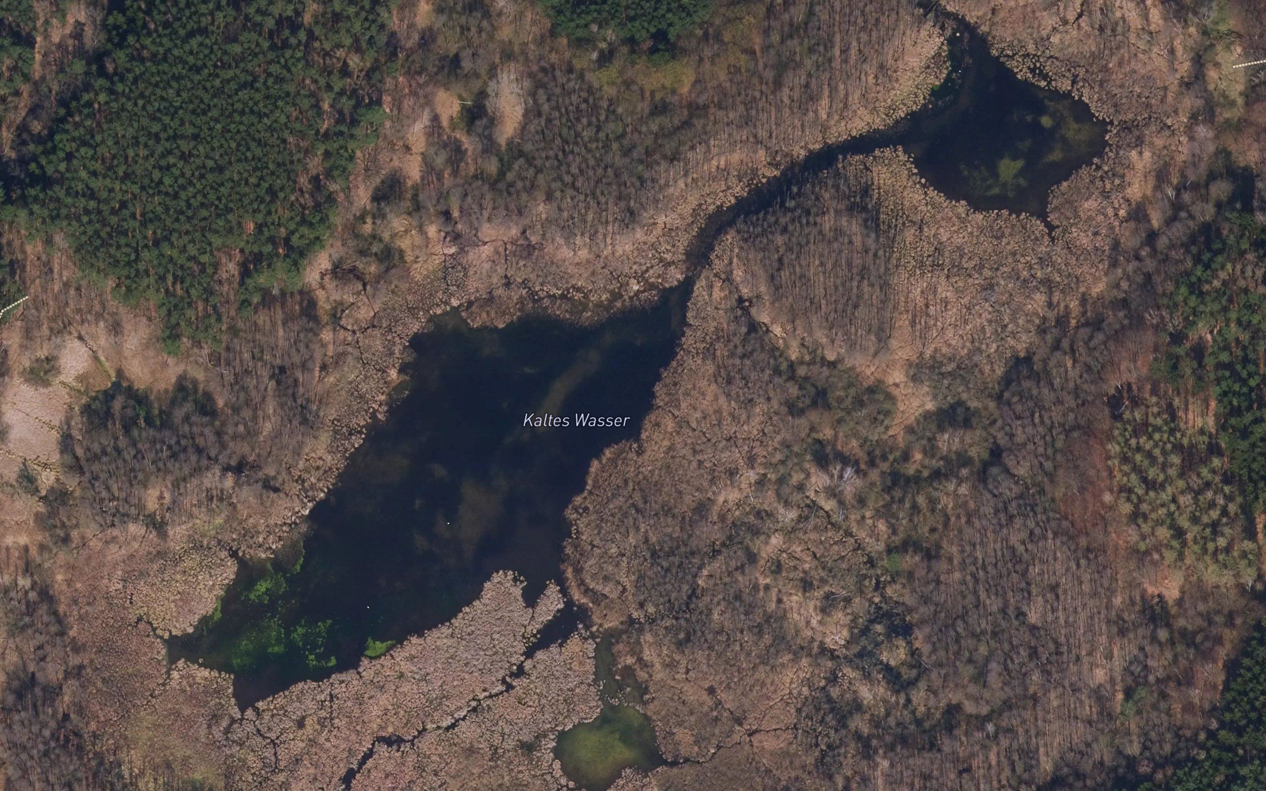 Die Kalten Wasser