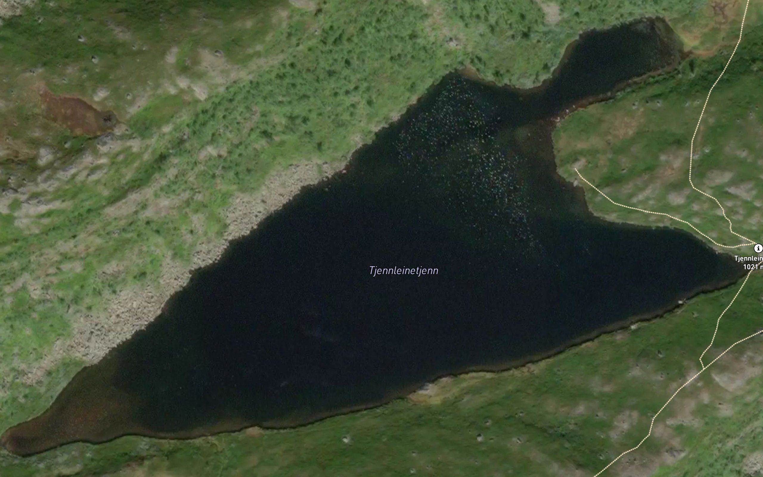 Tjernleintjernet