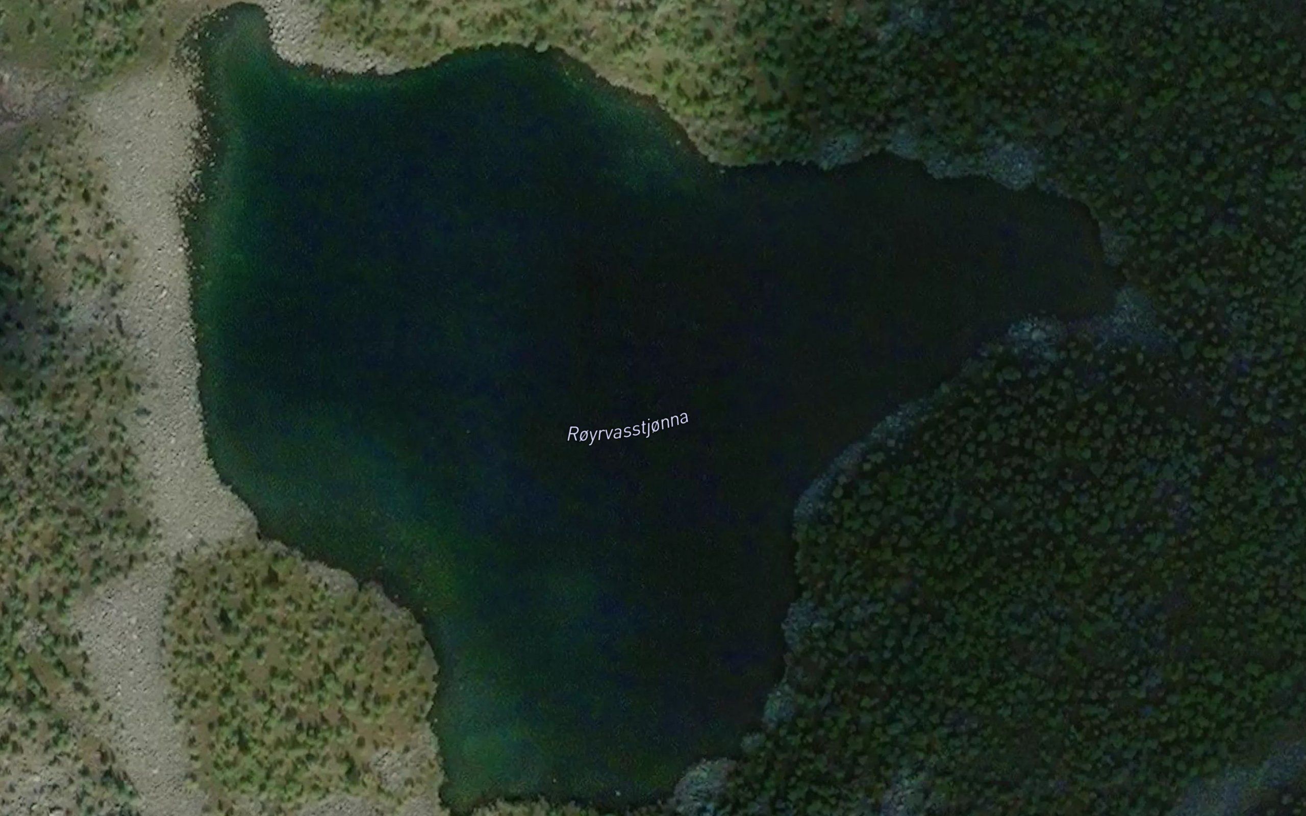Royrvasstjorna