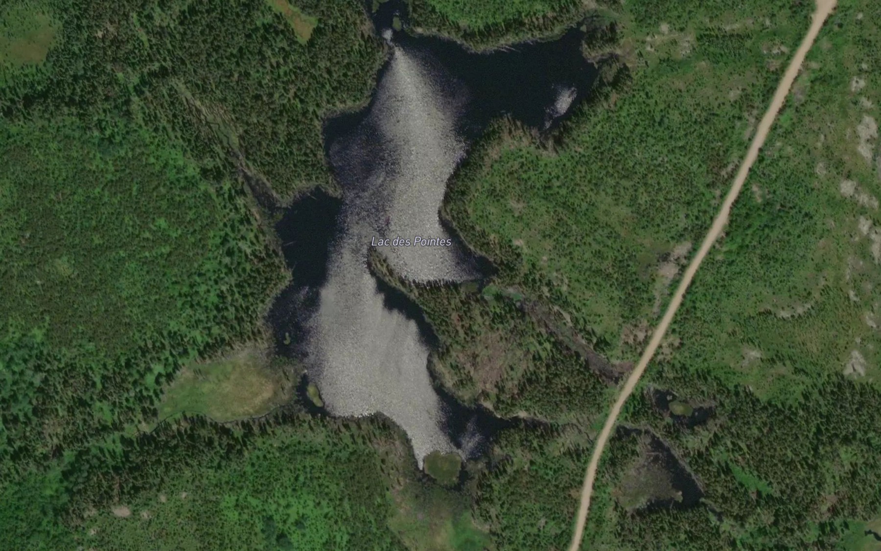 Satellite map of the Lac des Pointes