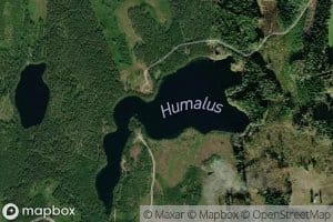 Humalus