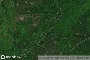 Honey Jones Mill Creek