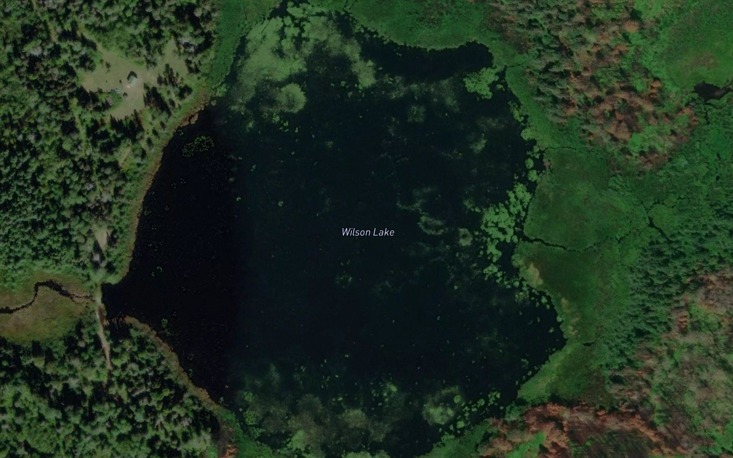 Wilson Lake