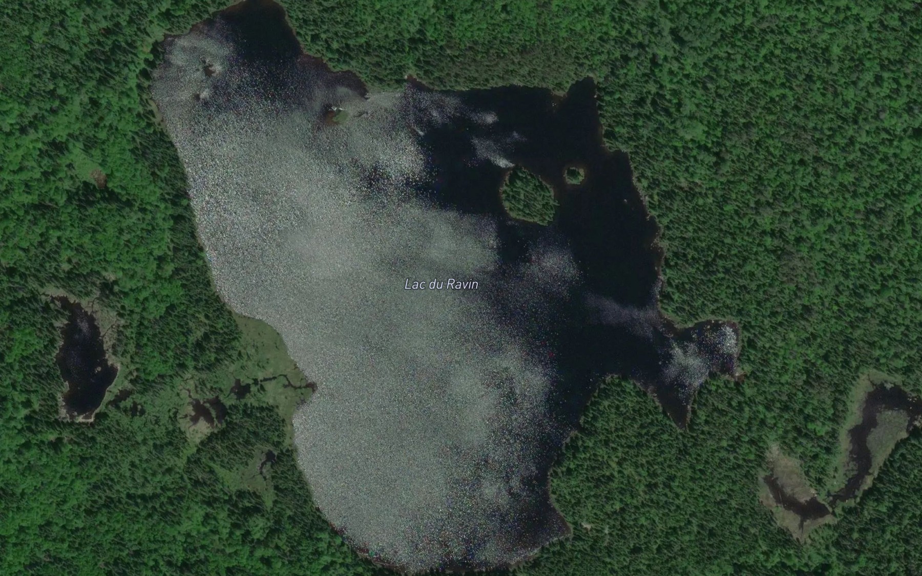 Satellite map of the Lac du Ravin