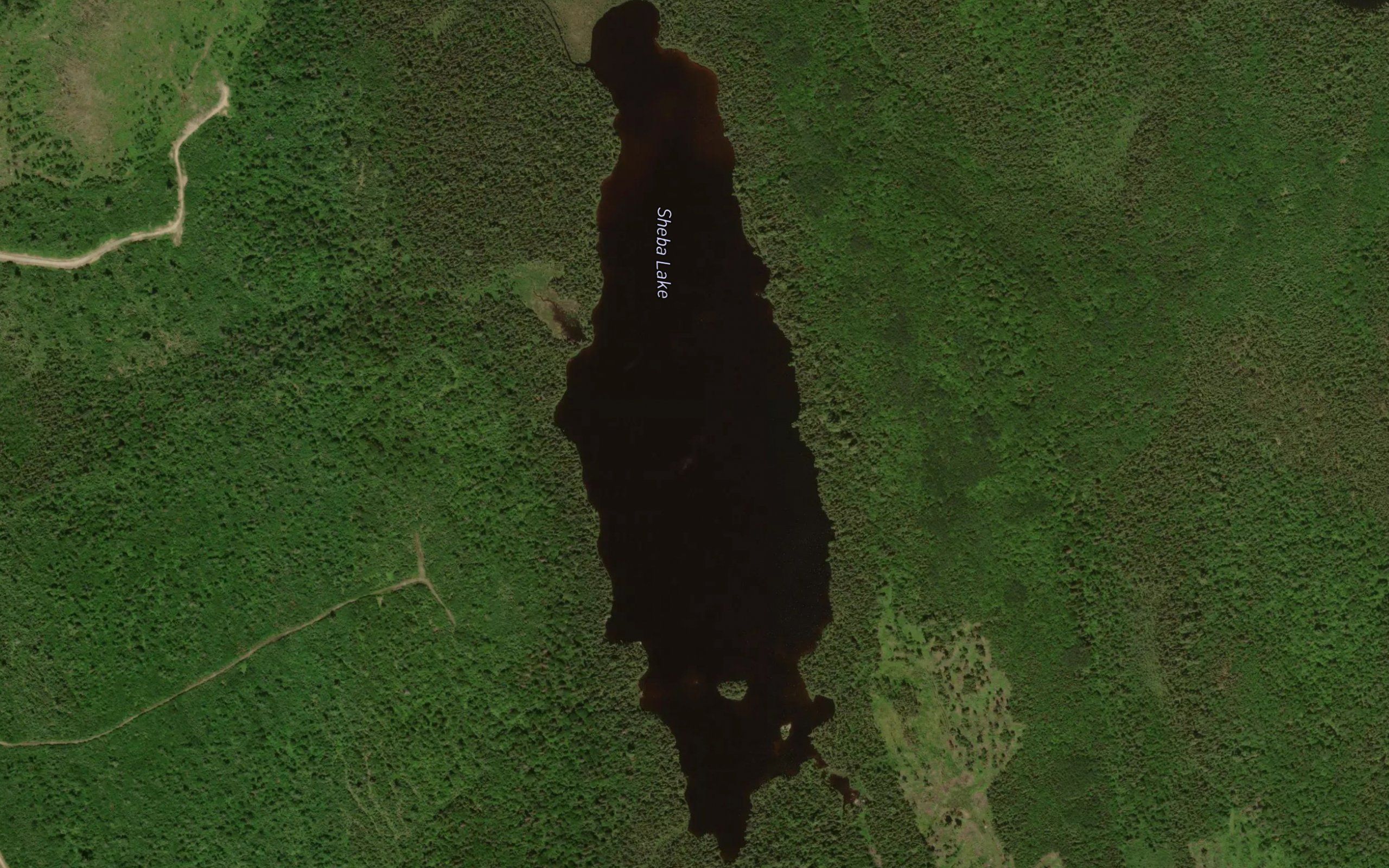 Sheba Lake