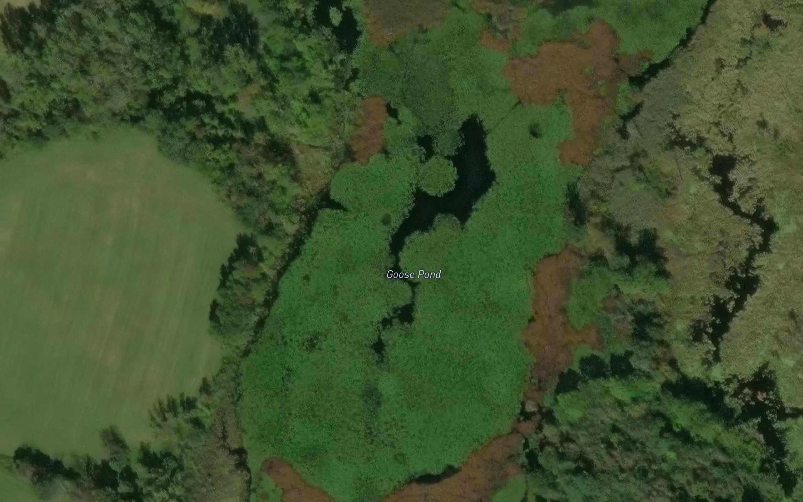 Goose Pond