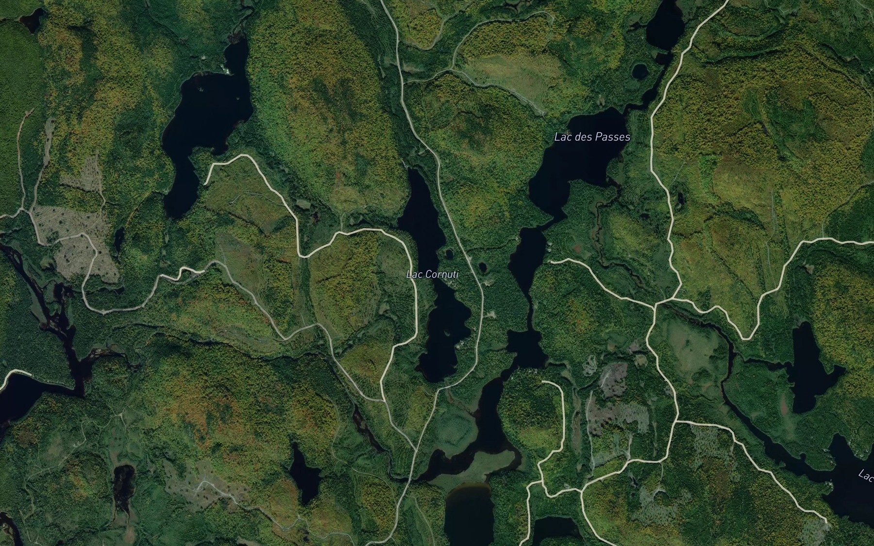 Satellite map of the Lac Cornuti