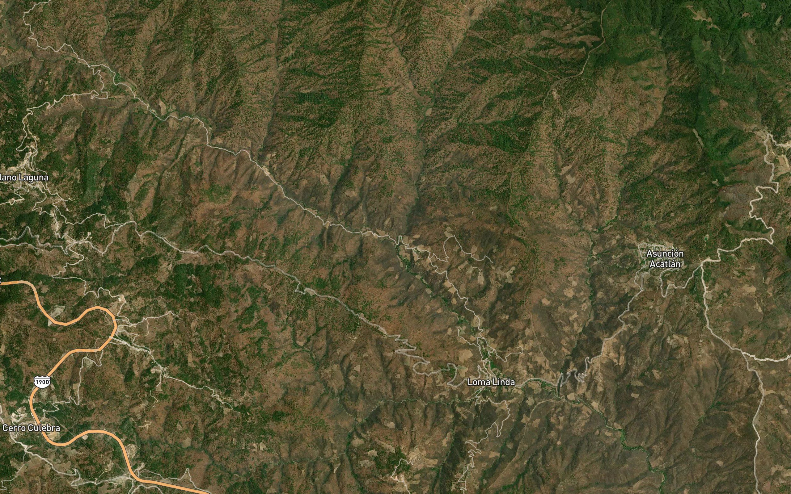 Carrizal