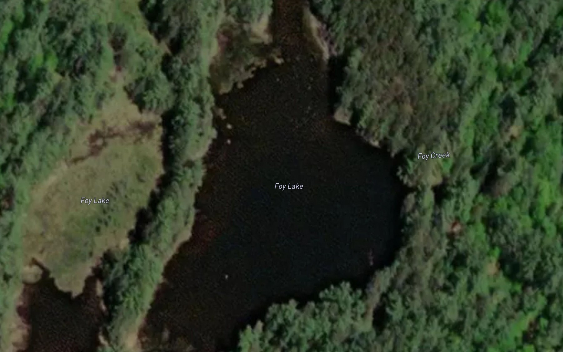 Satellite map of the Foy Lake