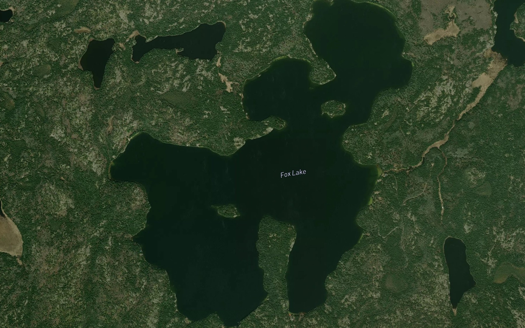 Satellite map of the Fox Lake