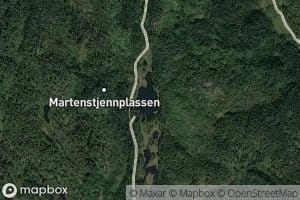 Martstjern