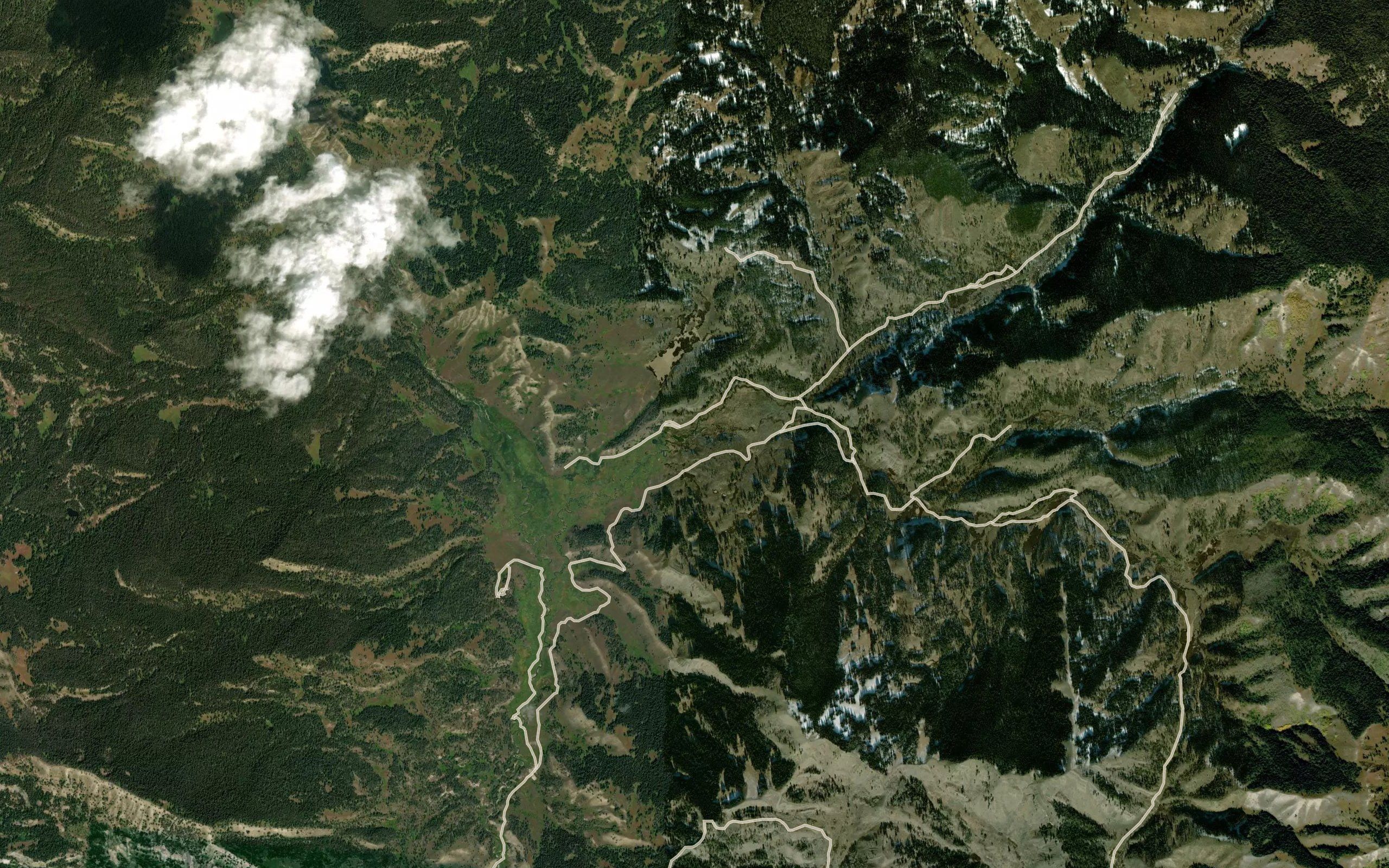 Bear Paw Fork