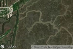 Campbell Inside Bayou