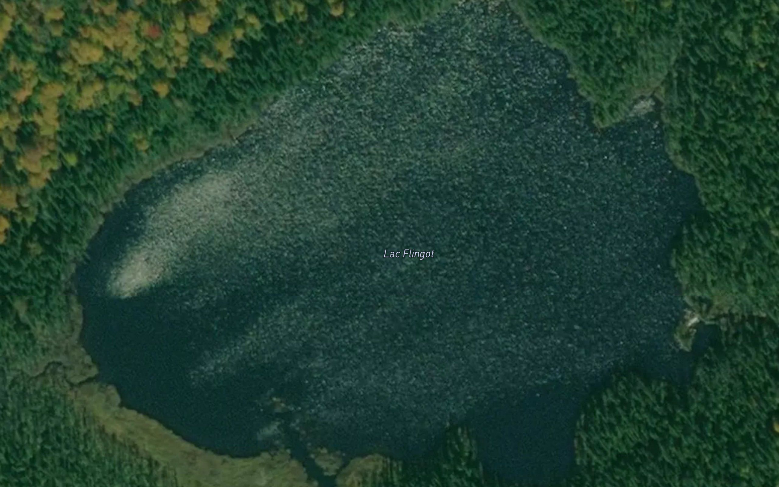 Lac Flingot