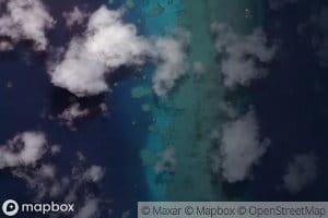 Ribbon Number Five Reef