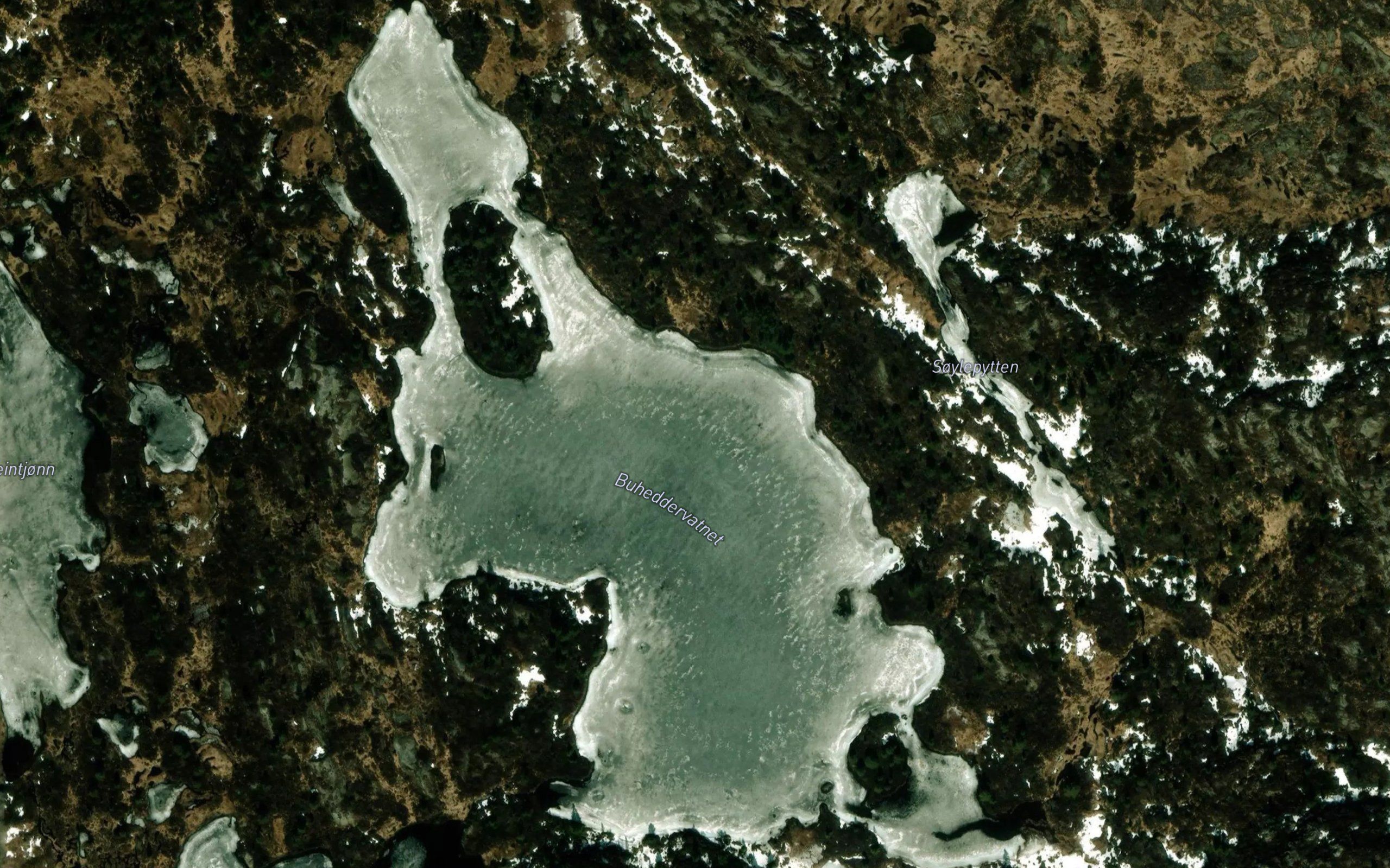 Buheddervatn