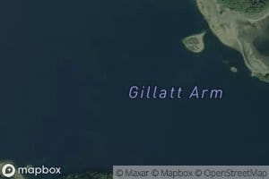Gillatt Arm