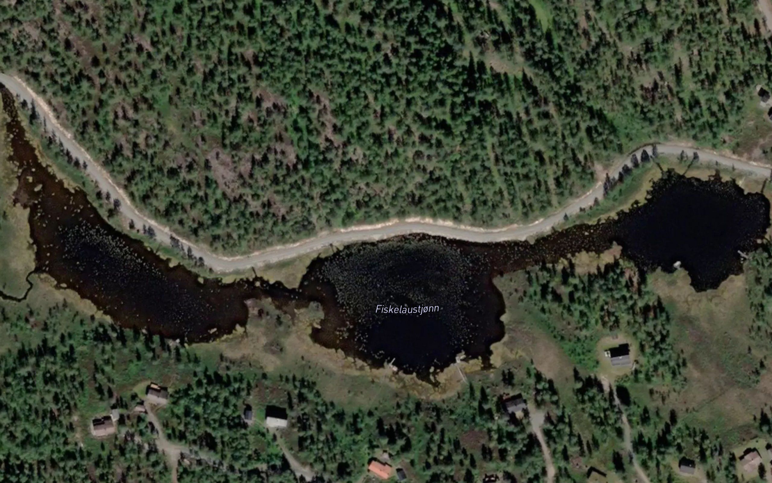 Fiskelaustjonn