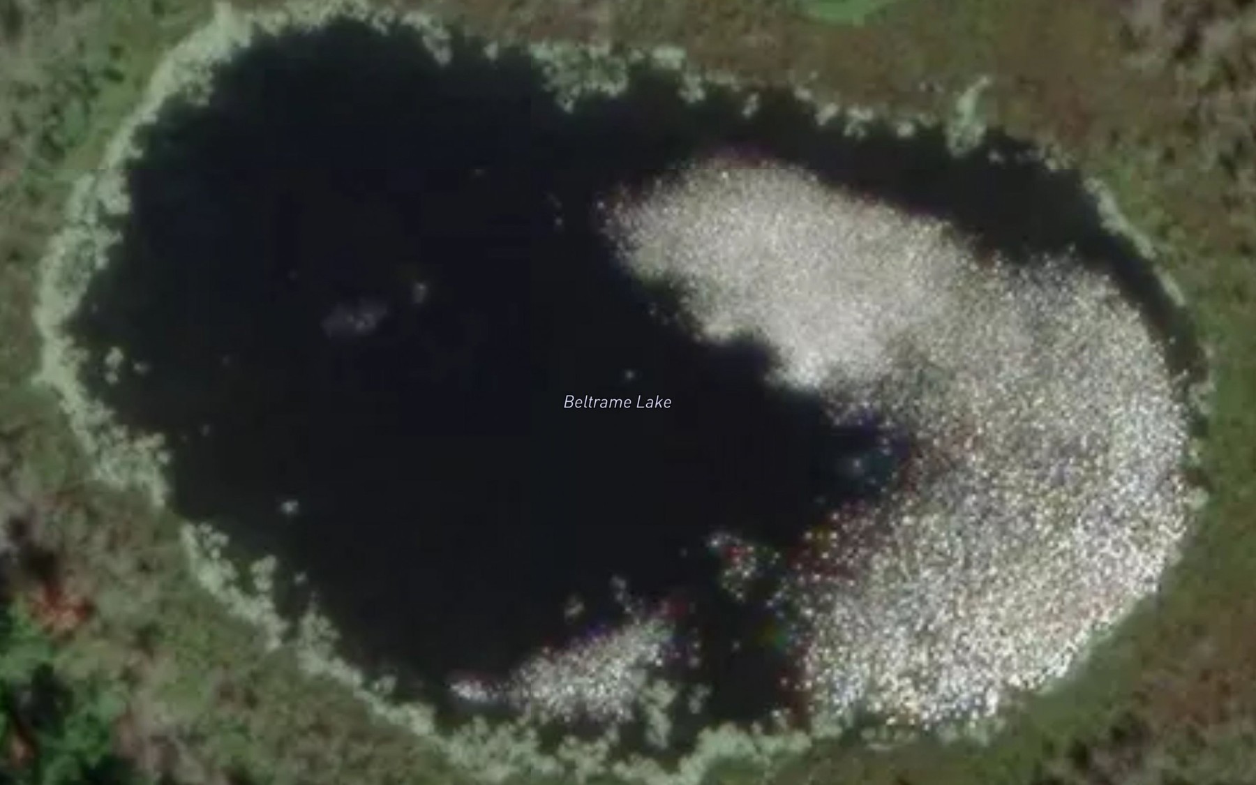 Satellite map of the Beltrame Lake