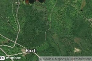 Birch Creek