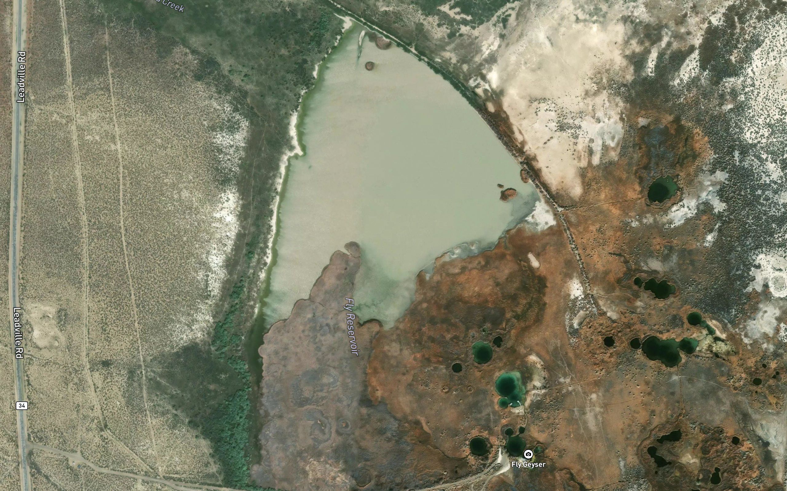 Fly Reservoir