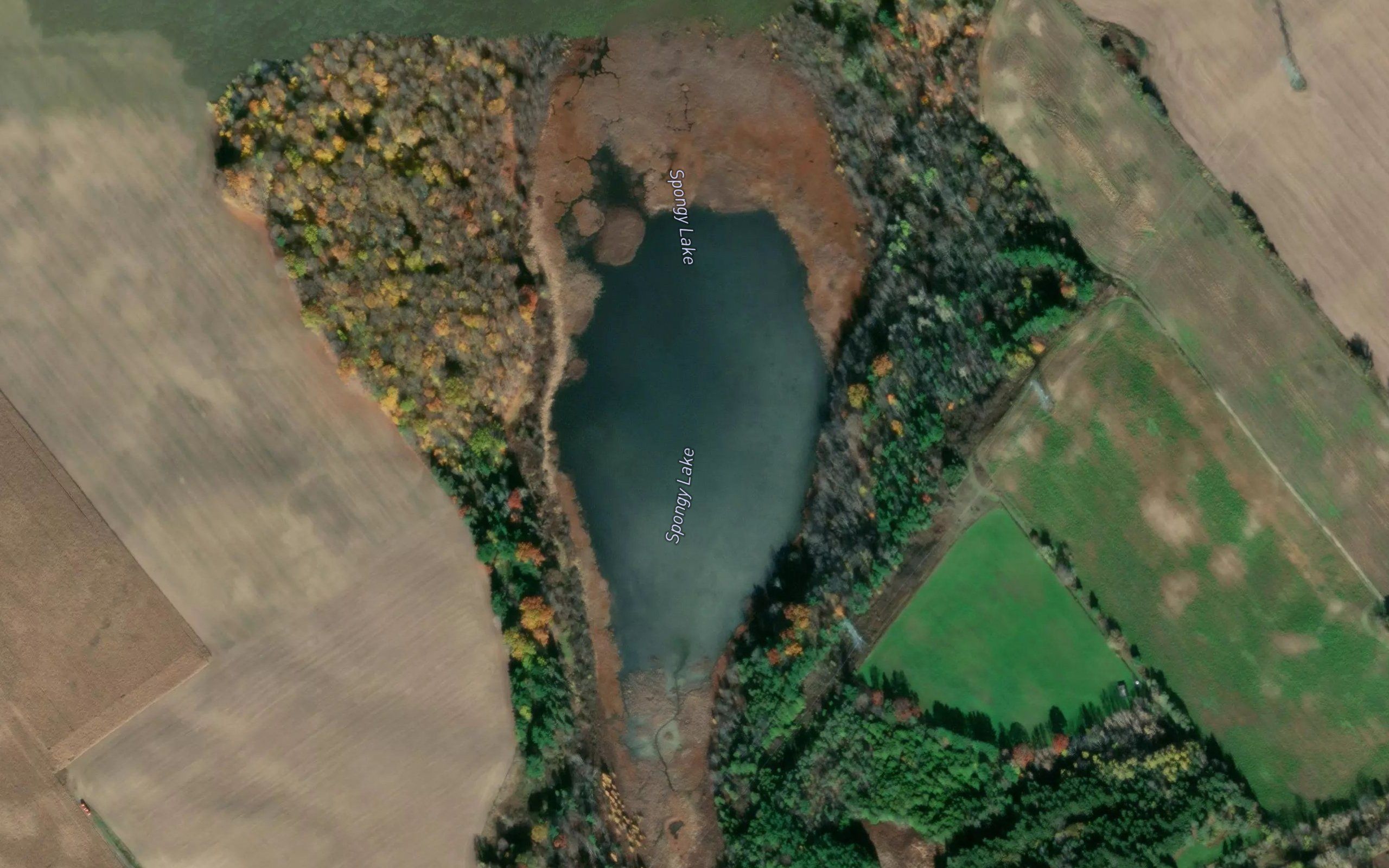 Spongy Lake