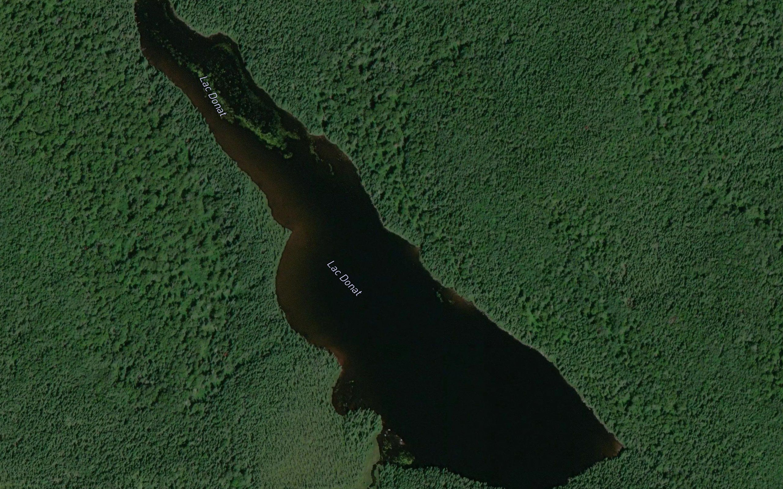 Lac Donat