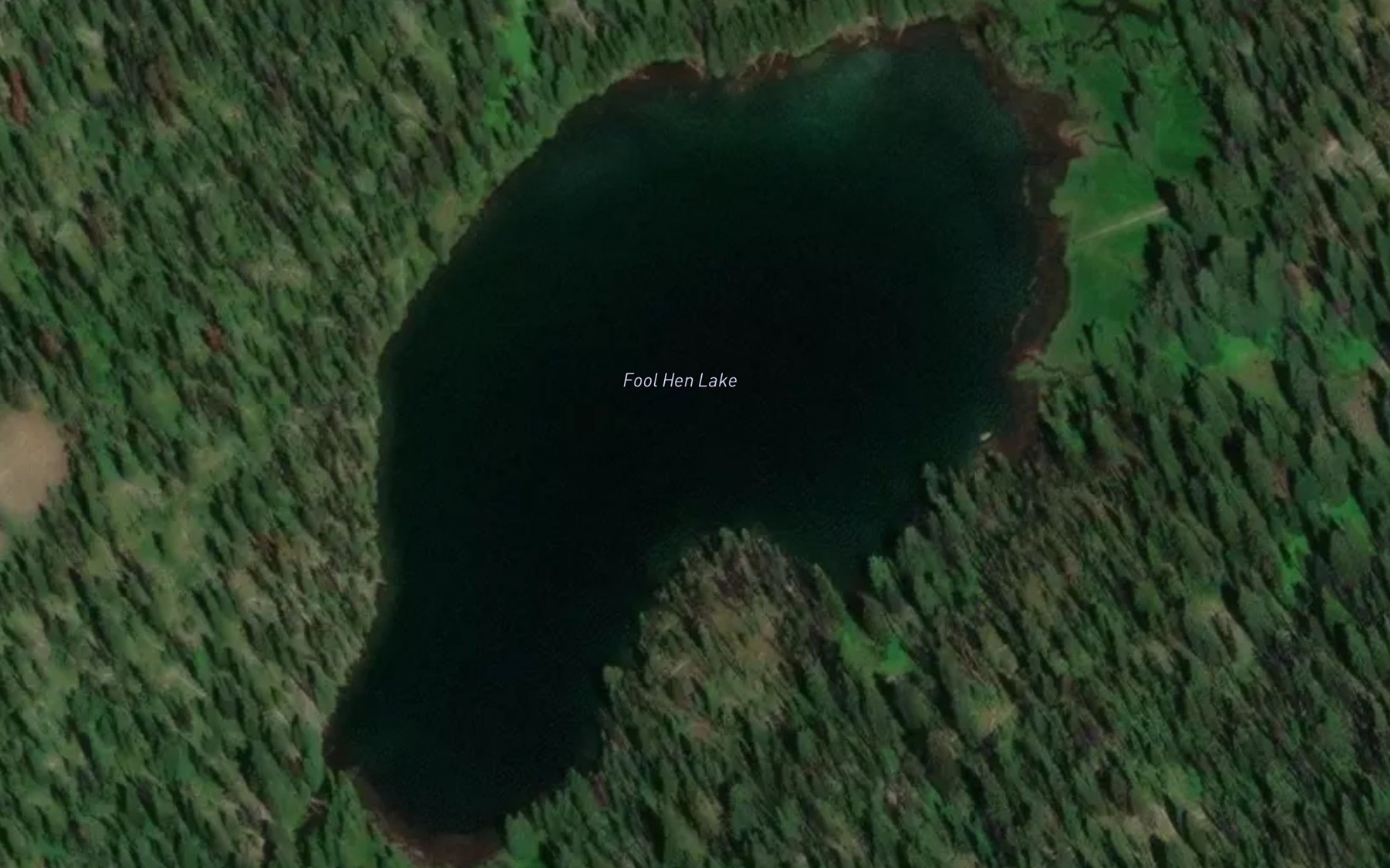 Satellite map of the Fool Hen Lake